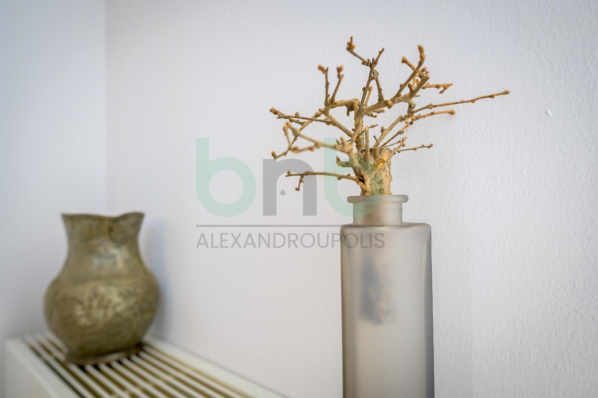 P & N Lux Apartment Alexandroupoli