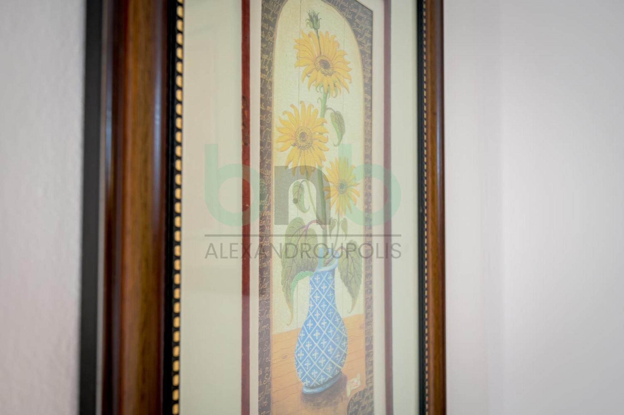 Apartment P & N Lux Alexandroupoli
